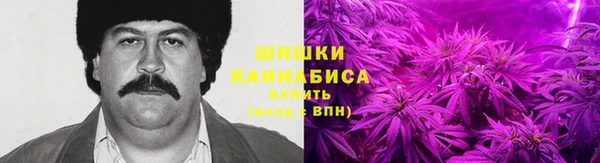 гидропоника Бугульма
