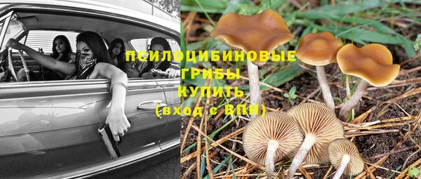 спиды Беломорск