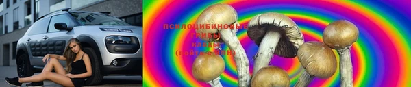 дживик Белоозёрский