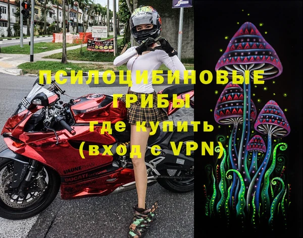 гидропоника Бугульма