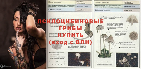 спиды Беломорск